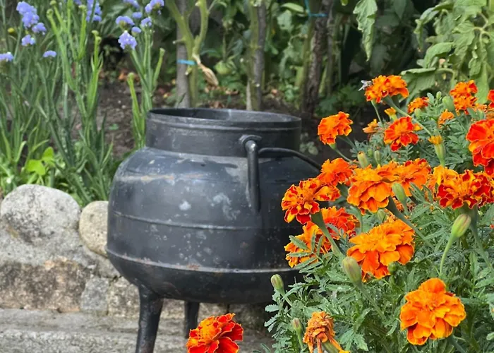 アパート Amanecer *